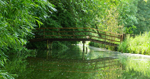 Le calme du Marais Audomarois